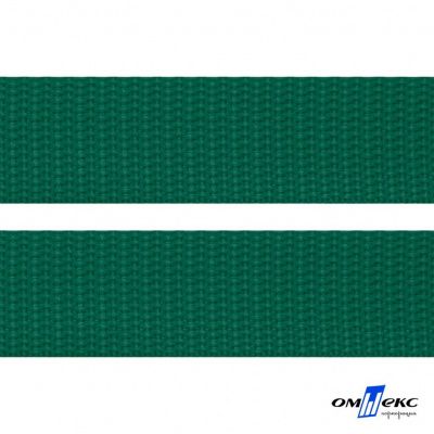 Зелёный- цв.876 -Текстильная лента-стропа 550 гр/м2 ,100% пэ шир.20 мм (боб.50+/-1 м) - купить в Магнитогорске. Цена: 318.85 руб.