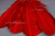 Декоративный Пучок из перьев, перо 23см/красный - купить в Магнитогорске. Цена: 11.16 руб.