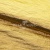 Текстильный материал "Диско"#1805 с покрытием РЕТ, 40гр/м2, 100% полиэстер, цв.5-золото - купить в Магнитогорске. Цена 412.36 руб.