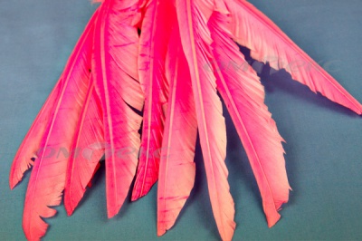 Декоративный Пучок из перьев, перо 25см/розовый - купить в Магнитогорске. Цена: 14.40 руб.