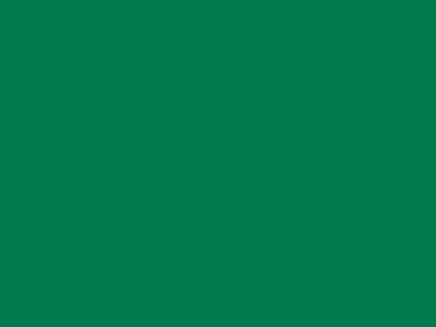 85 см № 258 яр. зеленый спираль (G) сорт-2 - купить в Магнитогорске. Цена: 16.97 руб.