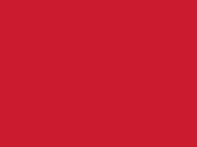 Сетка подкладочная красный, 60г/м2 (10 м/кг) - купить в Магнитогорске. Цена 885.73 руб.