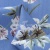 Плательная ткань "Фламенко" 12.1, 80 гр/м2, шир.150 см, принт растительный - купить в Магнитогорске. Цена 241.49 руб.