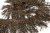 008-коричневый, Бахрома арт.001 шир.10см (упак.12+/-0,5м) - купить в Магнитогорске. Цена: 1 017.33 руб.