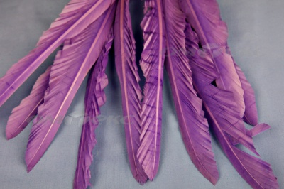 Декоративный Пучок из перьев, перо 25см/фиолетовый - купить в Магнитогорске. Цена: 12.19 руб.