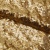 Сетка с пайетками №3, 188 гр/м2, шир.140см, цвет золотой - купить в Магнитогорске. Цена 454.12 руб.
