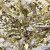 Трикотажное полотно, Сетка с пайетками, шир.130 см, #315, цв.-белый/золото - купить в Магнитогорске. Цена 693.39 руб.