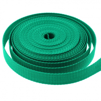 Стропа текстильная, шир. 25 мм (в нам. 50+/-1 ярд), цвет яр.зелёный - купить в Магнитогорске. Цена: 397.52 руб.