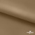 Ткань подкладочная Таффета 17-1327, антист., 54 гр/м2, шир.150см, цвет св.коричневый - купить в Магнитогорске. Цена 65.53 руб.