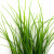 Трава искусственная -3, шт (осока 50 см/8 см  5 листов)				 - купить в Магнитогорске. Цена: 124.17 руб.
