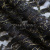 Кружевное полотно XD LACE 1-4, 80 гр/м2, шир.150см, цвет чёрный - купить в Магнитогорске. Цена 245.94 руб.